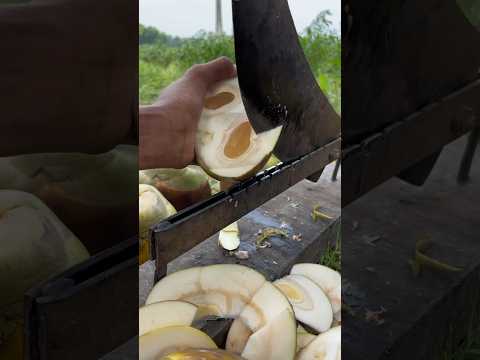 Amazing Palm Fruit Cutting Method in Village #palmcutting #amazingskill #shorts