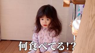 動画サムネイル