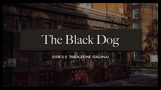 Taylor Swift - The Black Dog (Lyrics e Traduzione Italiana)