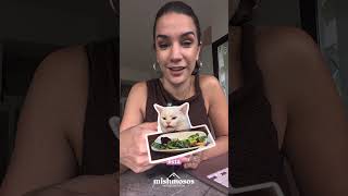 😅Colegio y Hotel para el michi👑😸🐾#cathotel #hoteldegatos #cuidadosdemascotas