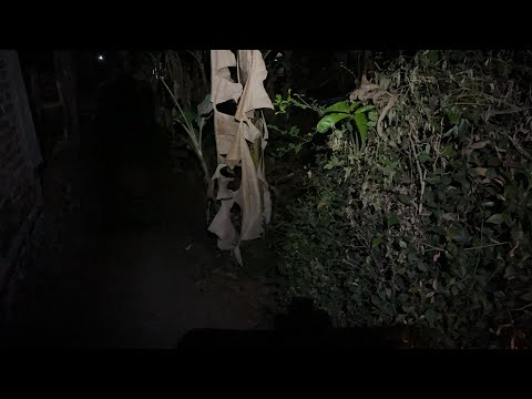 Misteri kebon angker