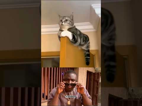Loyal cat saved his master's life ๐๐ฅบ Never you trust women
