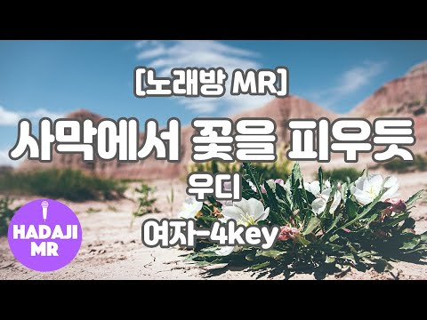 [하다지노래방] 우디 – 사막에서 꽃을 피우듯 MR (D 여자-4key) / 하다지MR