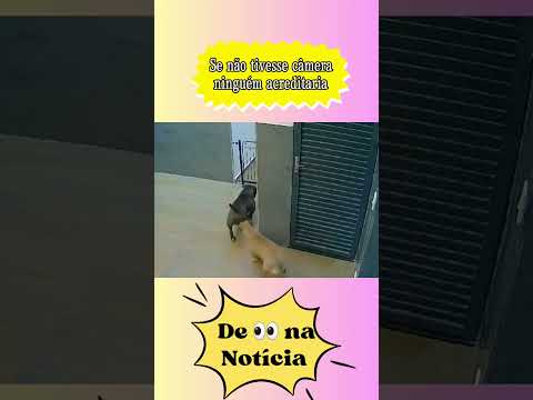 Dar para acreditar? #noticias