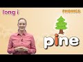 Understanding Vocabulary and Concepts