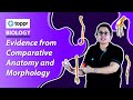Atavism and Organ Similarities in Biology