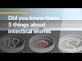 Intestinal Worms and Their Impact
