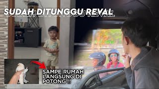 SAMPE TUNGGU DEPAN RUMAH❗️REVAL DITINGGAL MUAT 5 HARI KE JAKARTA