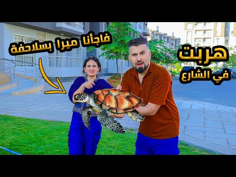 فاجأت  ميرا بسلاحفة 😱 خافت منها وهربت ما توقعت يصير هيك 😥