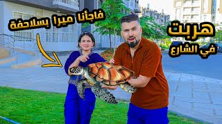 فاجأت  ميرا بسلاحفة 😱 خافت منها وهربت ما توقعت يصير هيك 😥