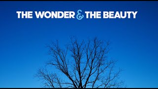 The Wonder And The Beauty