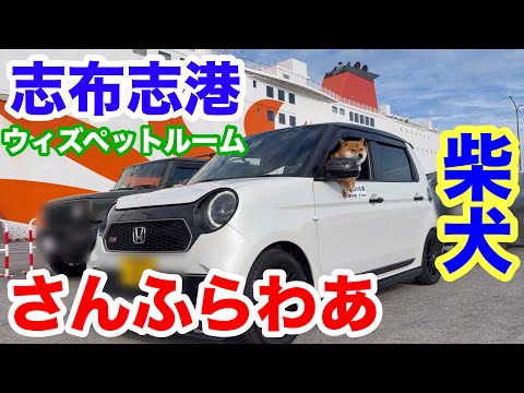 【さんふらわあ志布志港】ウィズペットルーム乗船!