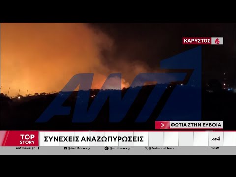 Σε ύφεση είναι σήμερα η φωτιά στα Μεσοχώρια στην Εύβοια