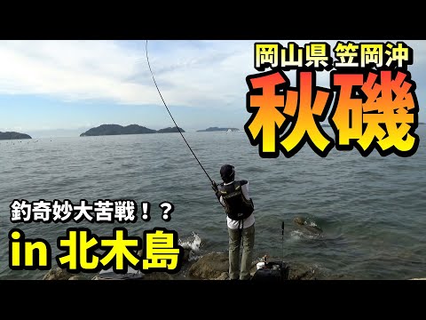 秋磯大苦戦の男がご無沙汰の渡船エリアでまさかの良型チヌGET! in 岡山県笠岡沖