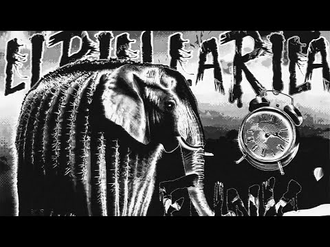 HIMXN - LIRILI LARILA FUNK (Ultra Slowed)