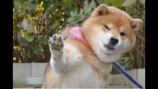 bored stream