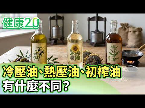 冷壓油、熱壓油、初榨油 有什麼不同？ 【健康2.0分段】@tvbshealth20  EP3219-3 20260808 #鄭凱云#江守山#譚敦慈#王明勇#洪素卿
