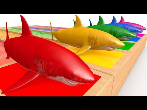 Impara i Colori con animali filastrocche canzoni per bambini #55