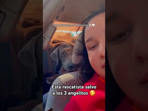 Encontró a los 3 juntos y a los 3 se los llevó 🥰