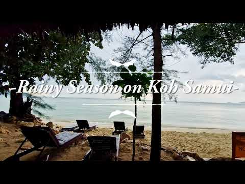 Rain Sounds For Sleeping ASMR | Koh Samui Rainy Monsoon Season | Fall a Sleep Instant Copyright Free