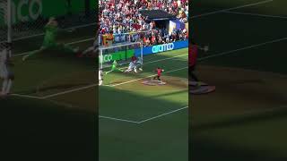 Spain v Argentina: The Goal That Won The World Cup Spain kept searching, and in extra time  #wcfinal