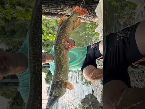 Landing a massive pike in michigan! video thumbnail