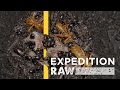 Cave Ecosystem Exploration and Organisms