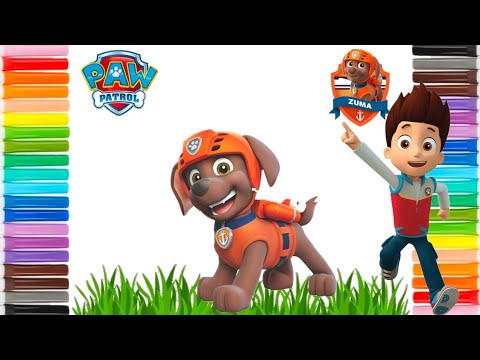 Paw Patrol Zuma Coloring Compilation 🐾  | Paw Patrol