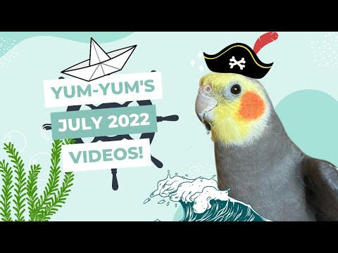 YumYum’s July Videos