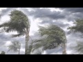 Timothy's Storm Survival and Loss