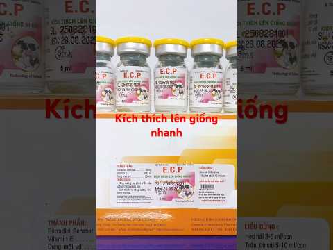 E.C.P-Tăng cường sự phát triển của buồng trứng và dạ con- Kích thích và tăng cường khả năng thụ thai