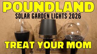 Poundland solar garden lights 2026