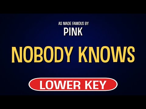 Pink – Nobody Knows | Karaoke Lower Key