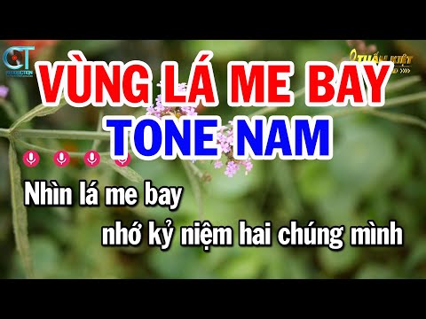 Karaoke Vùng Lá Me Bay Tone Nam ( Cm ) Nhạc Sống Beat Mới Nhất || Karaoke Tuấn Kiệt