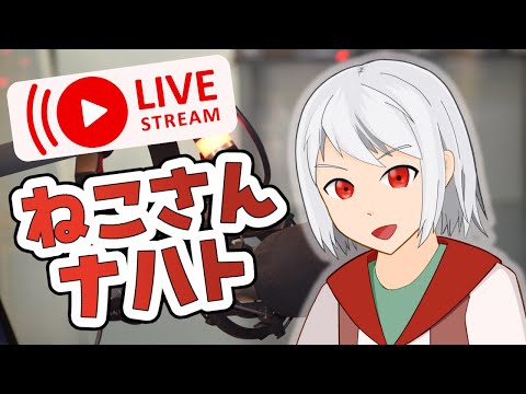 【ねこさんナハト】#37 コキアって知ってるか【雑談】