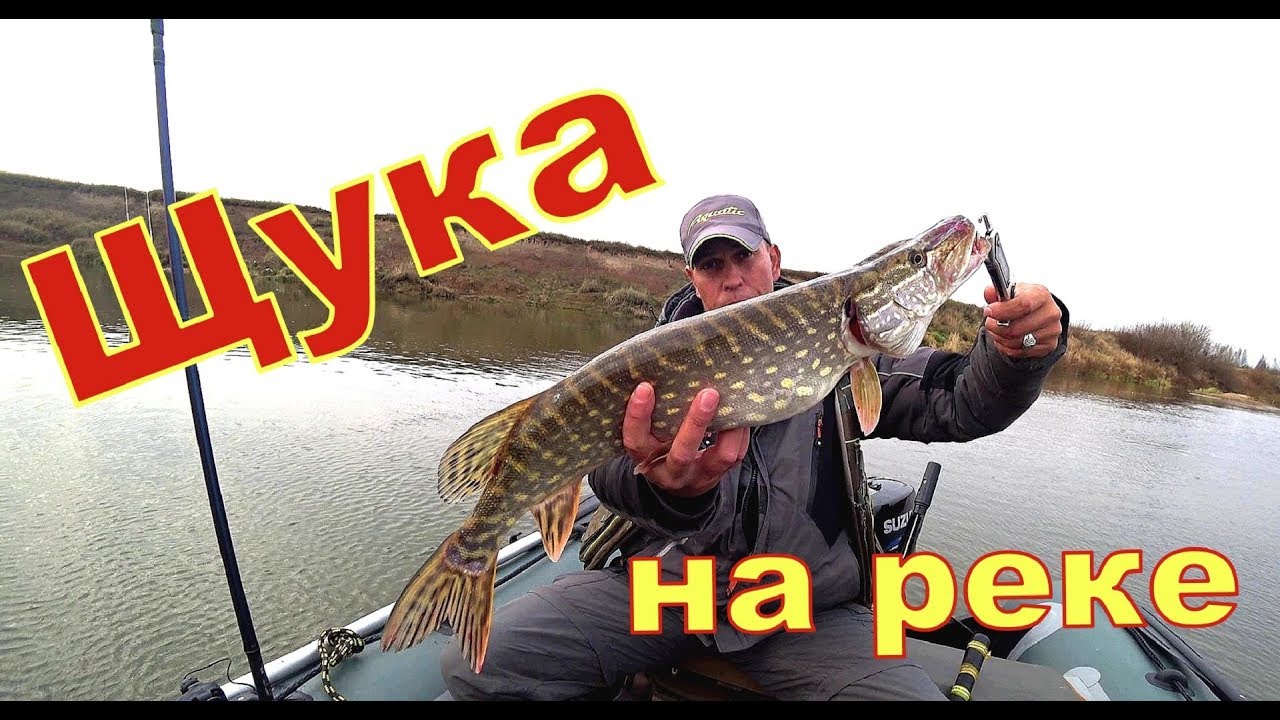 Щука на Спиннинг CRAZY FISH Arion ASR 762S M. Рыбалка на реке