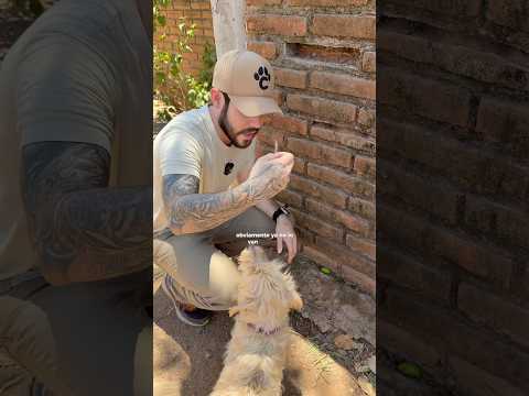 SUPER REPELENTE DE PERROS NATURAL #pets #dogs #nature #tips