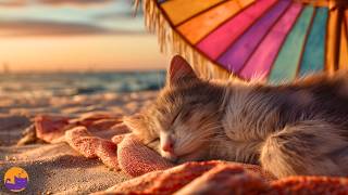 Cat Sleep Songs 🐱🎼 Separation Anxiety + Sleep Issue FIX ✨❤️
