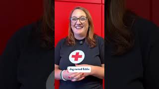Saving Pets During Hurricane Milton