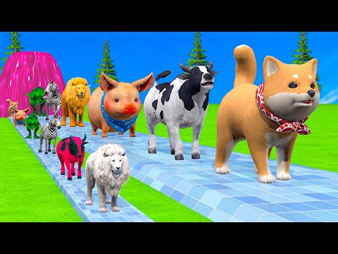 Paint & Animals Cow,Monkey,Pig,Rabbit,Lion,Elephant Fountain Crossing Transformation Animal Cartoon
