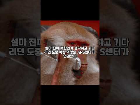 호기심에 북한으로 장난전화를 건 남자 대참사