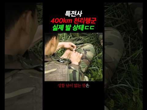 400km ์ฒ๋ฆฌํ๊ตฐํ๋ ํน์ ์ฌ ๋ฐ ์ํ ใทใท