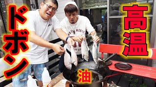 釣ってきた魚全部高温の油にぽいしてみた！