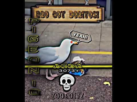 Bro want Doritos