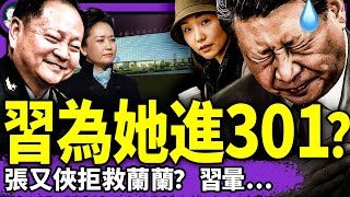 張又俠阻習救楊蘭蘭？習氣病入301，彭麗媛惱火？王小洪下令不許查楊蘭蘭，只保護三個月!（老北京茶館/第1417集/2025/08/18）