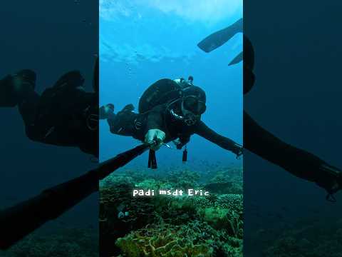 #더잘난 #travel #scubadiving #발롱블랑 #underwater #<strong>nature</strong> #다이빙 #fly #씨앤소울