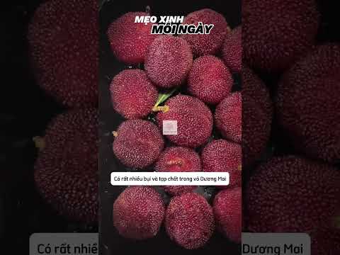 Tôi Rửa Trái Cây Với Mẹ Tôi Rửa Trái Cây
