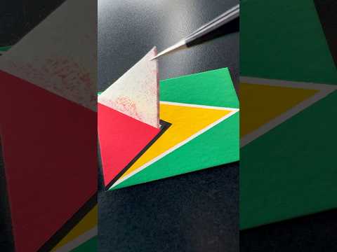 GUYANA 🇬🇾 #flag ¿siguiente? / next?