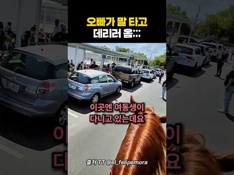 오빠의 낭만vs동생의 현실