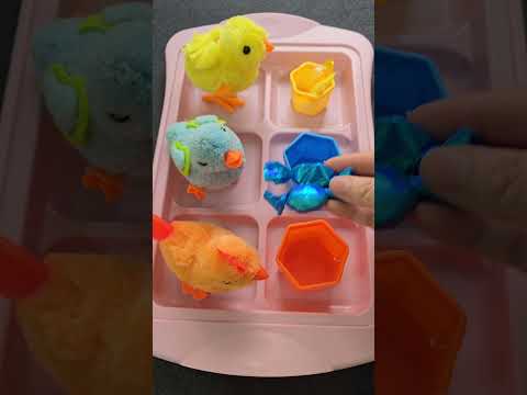 هالصيصان شو حلوين🤫🐤🐥🦩خدوا العيدية وهم مبسوطين😅☺️